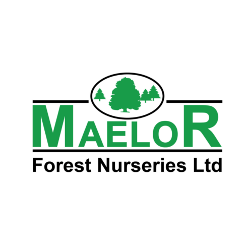Maelor
