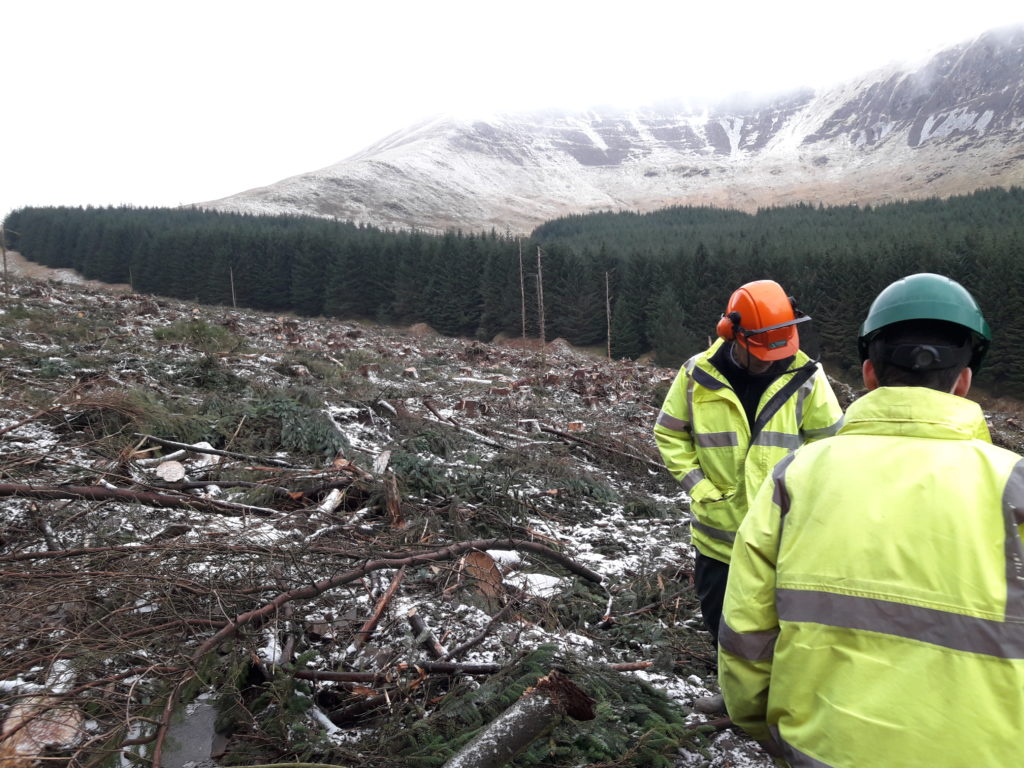 Figure 5: Forest manager and harvesting manager site meeting.