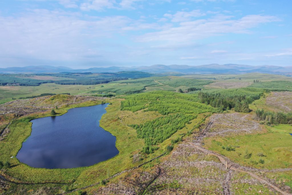 Drone photo showing mid-rotation crops of Sitka spruce