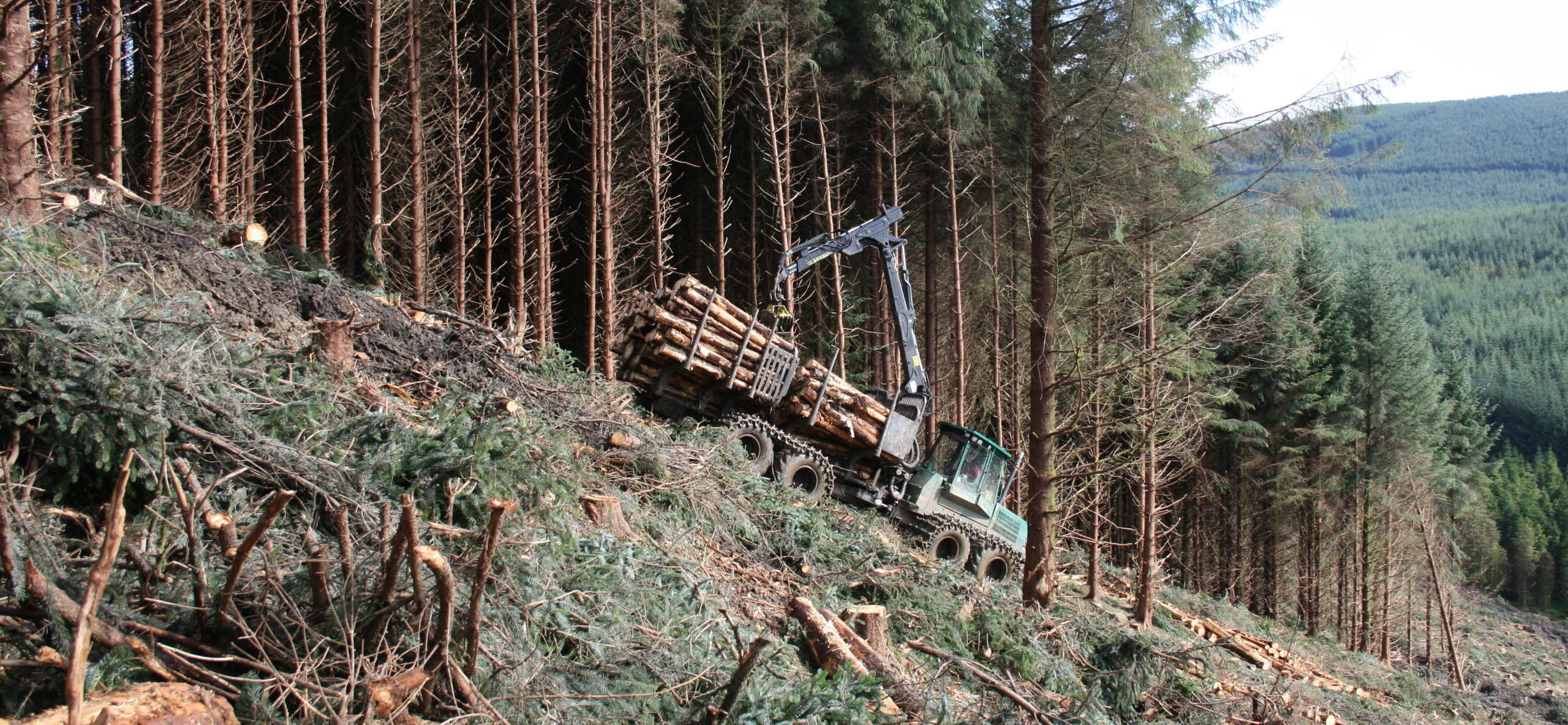 Forestry Investment Tilhill Forestry