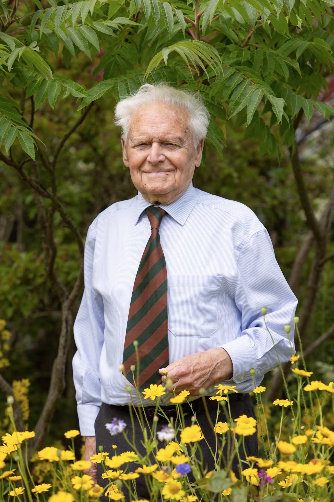 In Centenary year of public forestry in Britain Stewart (100th