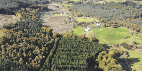 woodland grant funding scotland
