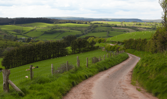Wales Grants