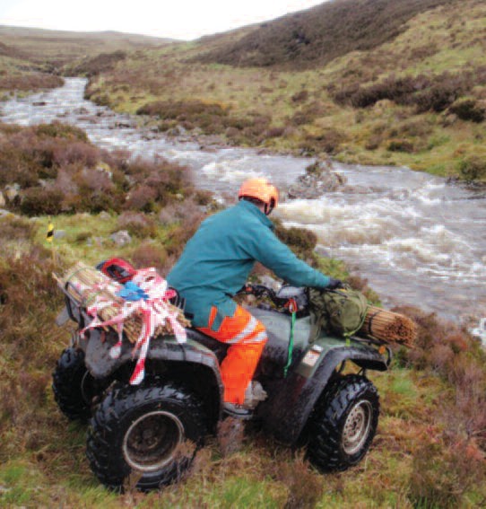 Quad Bike