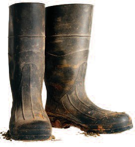 Don't be a Wally and Wear your Wellies in the car! - Tilhill