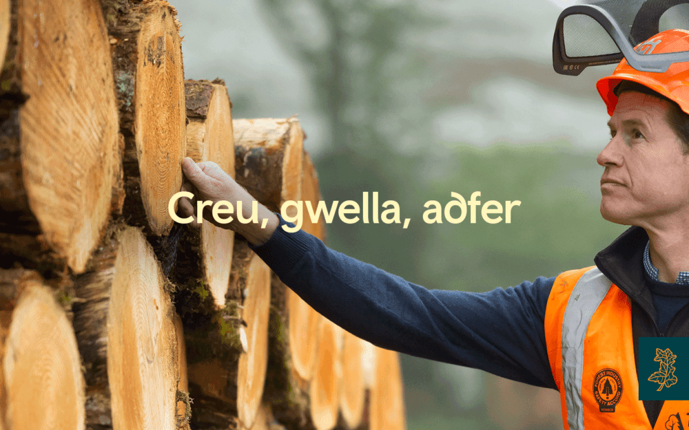 Stack of logs- welsh landscape