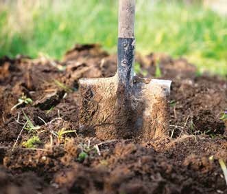 Bulletin February 2022