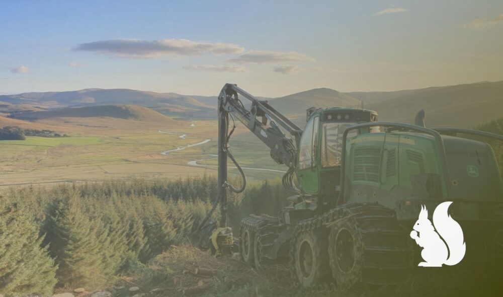 Productive woodlands