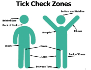 ticks safety bulletin April 2022