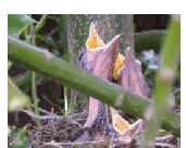 April 2022 Safety Bulletin