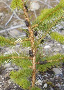 Safety & Assurance bulletin May 2022