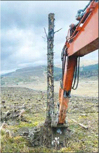 Safety & Assurance Bulletin May 2022