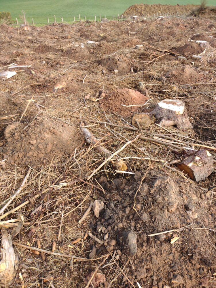 Ground preparation mounds