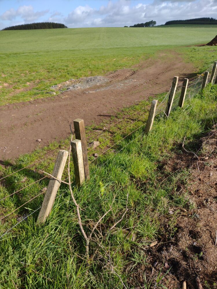 March fence in need of repair