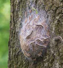 Safety & Assurance bulletin May 2022