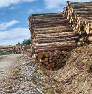 Safety & Assurance Bulletin October 2022