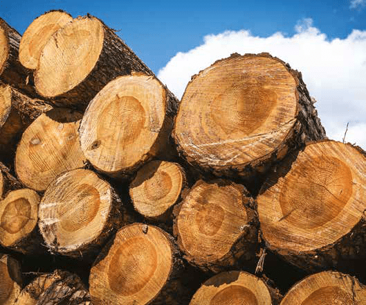 Safety Bulletin November 2022