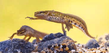 Safety Bulletin November 2022