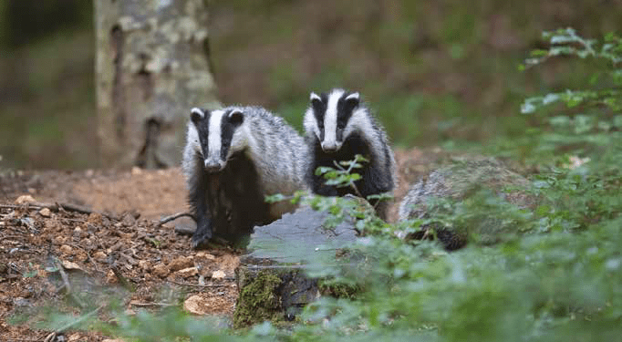 Safety Bulletin November 2022