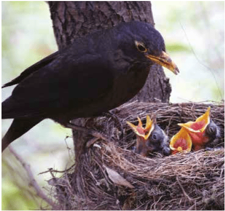 safety & assurance bulletin january 2023