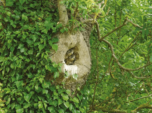 Safety & Assurance Bulletin March 2023