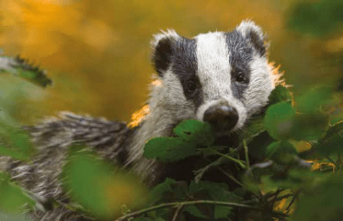 Safety & Assurance Bulletin March 2023