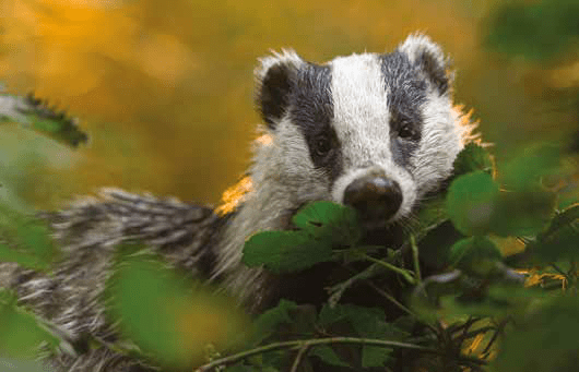 Safety & Assurance Bulletin March 2023