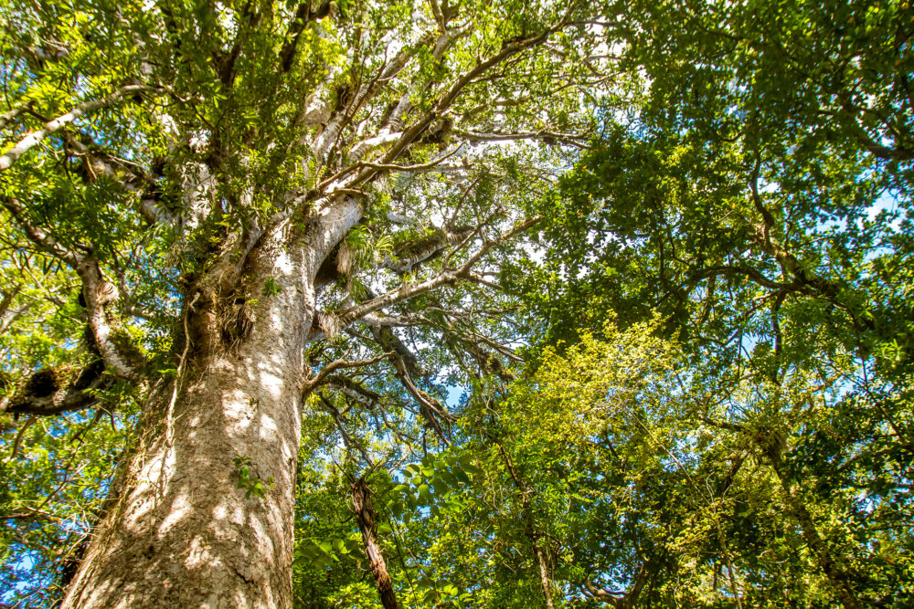 Safety & Assurance Bulletin March 2023