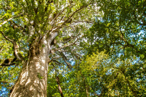 Safety & Assurance Bulletin March 2023