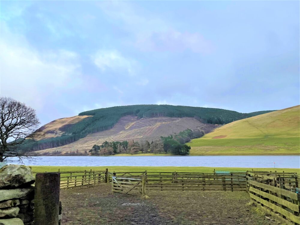 A property made up of two large hills and a fenced paddock in the foreground