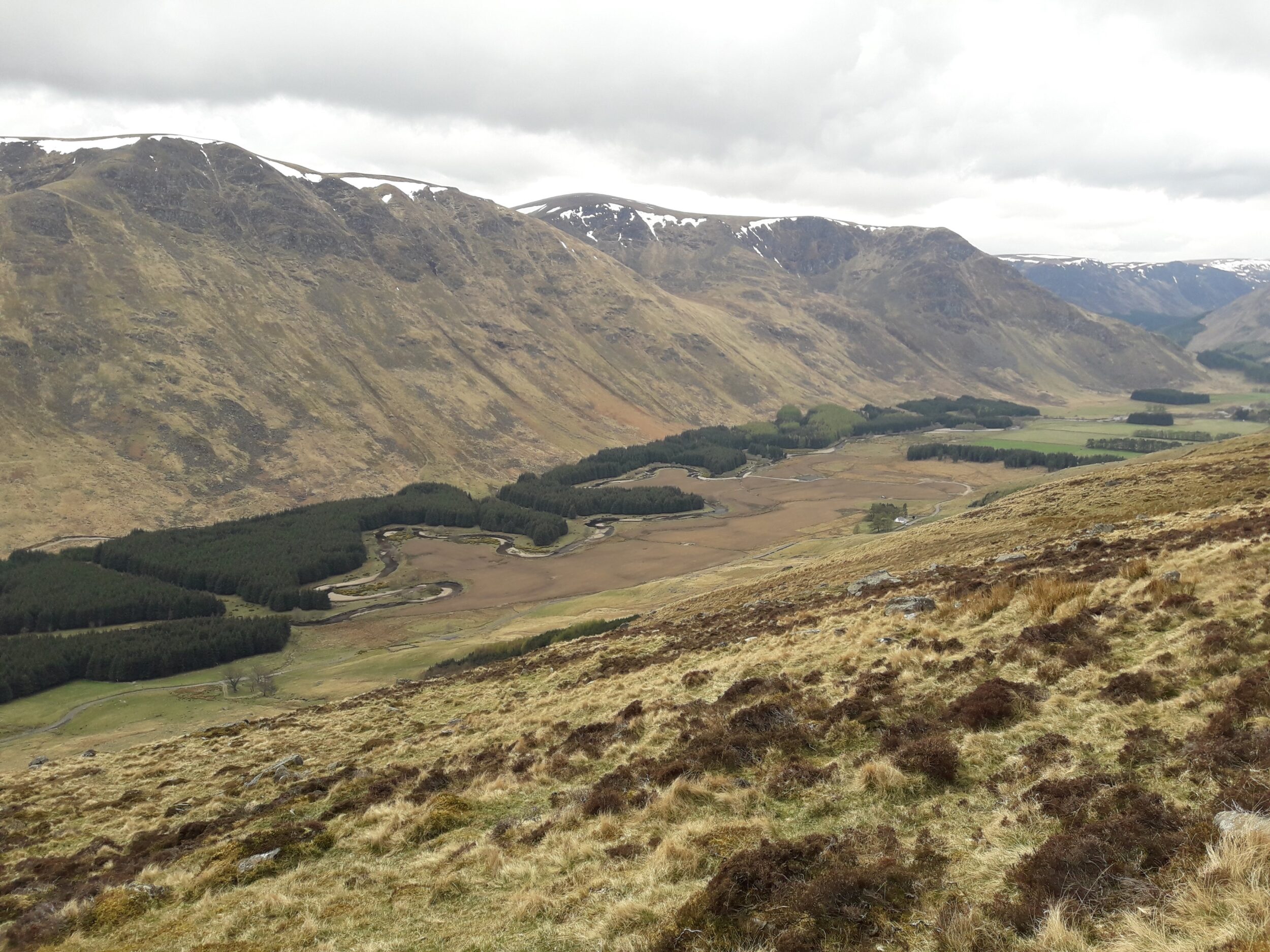 Glen Clova Tilhill Forestry