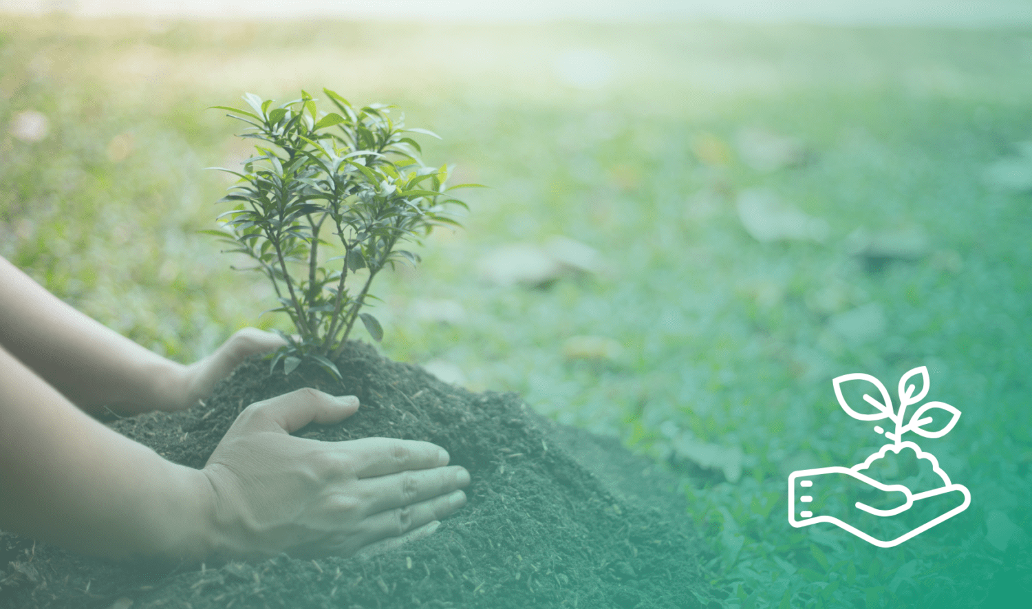 Biodiversity Net Gain Bng Tilhill Forestry