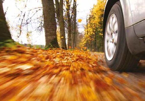 autumn driving