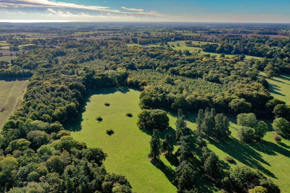 Aerial view of fields and trees