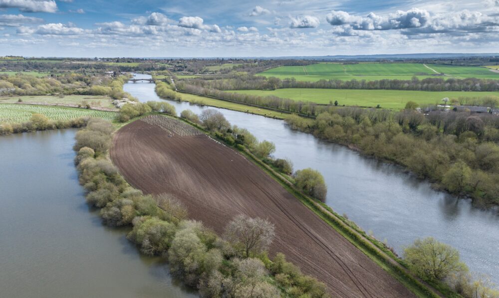 new planting of trees to create a woodland on a field
